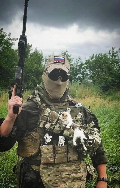 Ничего милее вы сегодня не увидите. Мир спасут российские парни и котики.