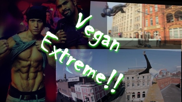 VEGAN EXTREME