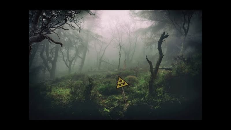 ММО Stay Out ( STALKER), часть