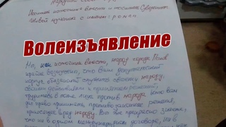 Волеизъявление
