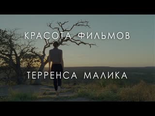 Красота фильмов Терренса Малика