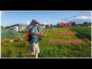 Они хотели лишить нас урожая.