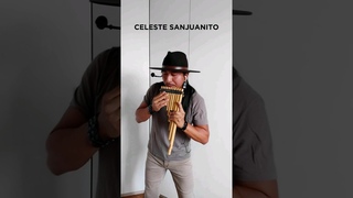 CELESTE - SANJUANITO #celeste #tradicional #sanjuanito #ethnicmusic