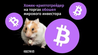 Хомяка научили торговать криптовалютой