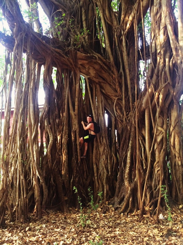 Кирилл Дубровин | Нижний Тагил