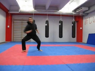 Backside 900 Kick Tutorial by Valentino Solinas (Extreme Tae Kwon Do)