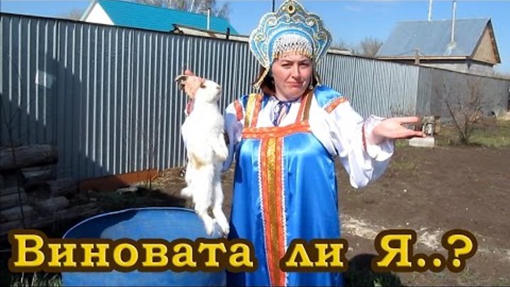 Веселый Пародийный клип о романтических встречах в