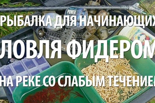Ловля на фидер на реке со слабым течением для начинающих